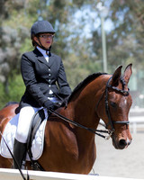 Class 308 Arabian Sport Horse Show Hack ATR