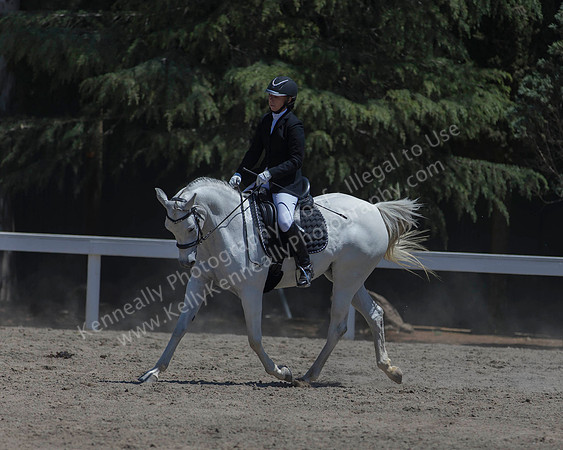 DAHA_SH18_THURS_6688