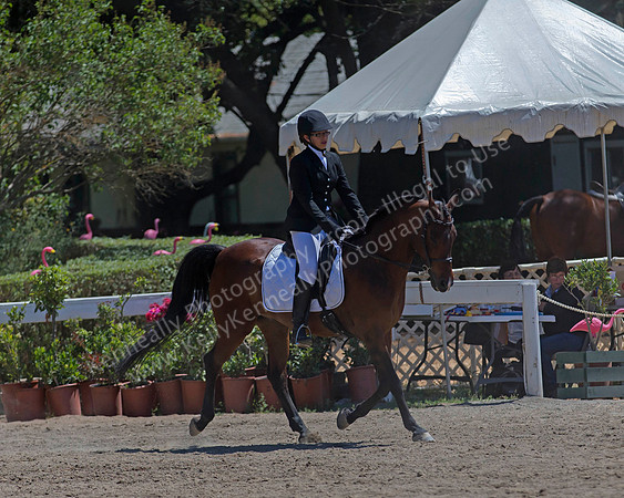 DAHA_SH18_THURS_6701