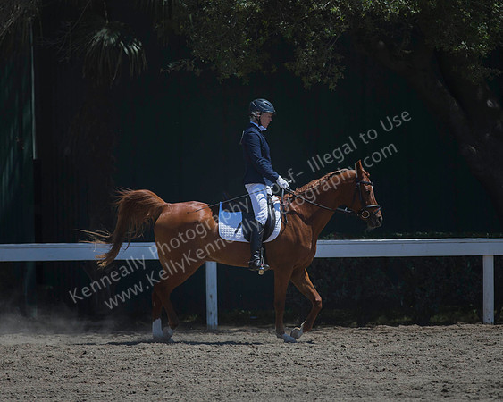 DAHA_SH18_THURS_6702