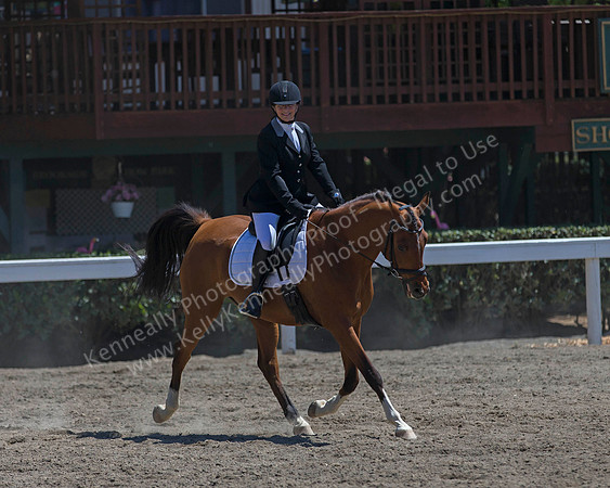 DAHA_SH18_THURS_6705