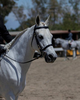 DAHA_SH18_THURS_6718