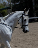 DAHA_SH18_THURS_6719