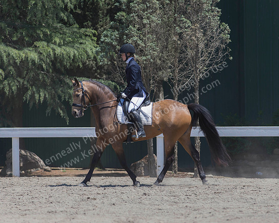 DAHA_SH18_THURS_6728