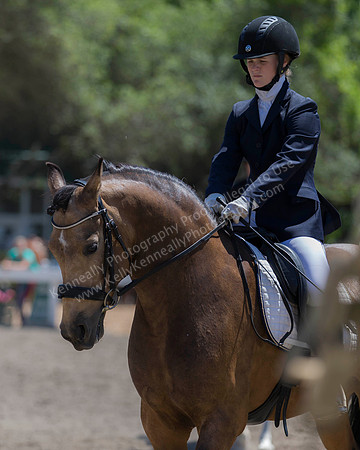 DAHA_SH18_THURS_6741