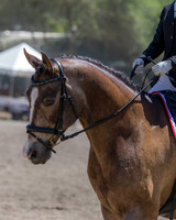 DAHA_SH18_THURS_6750