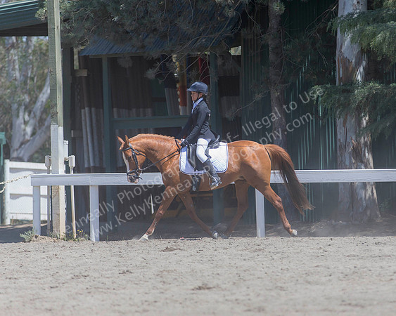 DAHA_SH18_THURS_6773