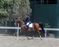 DAHA_SH18_THURS_6776