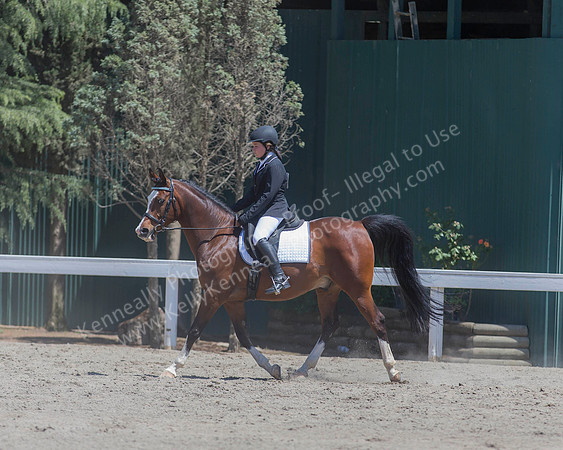 DAHA_SH18_THURS_6776