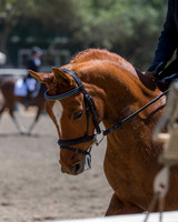 DAHA_SH18_THURS_6788