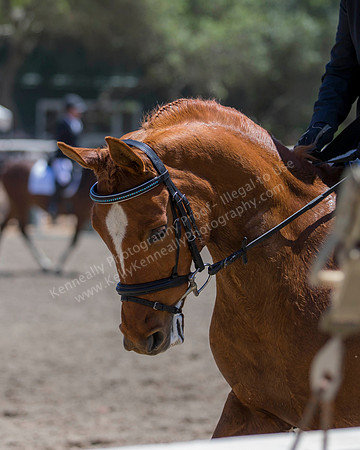 DAHA_SH18_THURS_6788