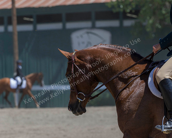 DAHA_SH18_THURS_6801