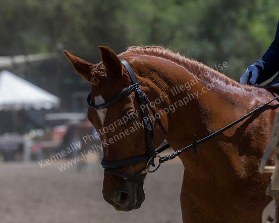 DAHA_SH18_THURS_6802