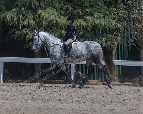 DAHA_SH18_THURS_6811