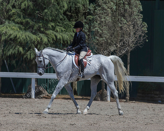 DAHA_SH18_THURS_6809