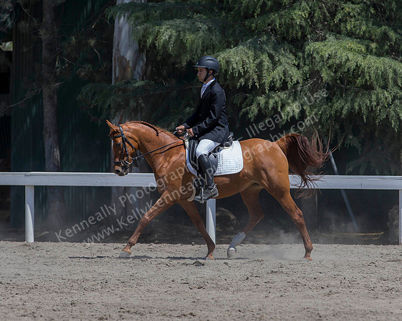 DAHA_SH18_THURS_6860