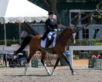DAHA_SH18_THURS_6916