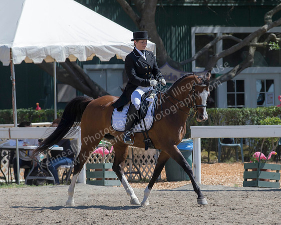 DAHA_SH18_THURS_6916