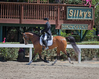 Class 313 HA/AASport Horse Show Hack Championship