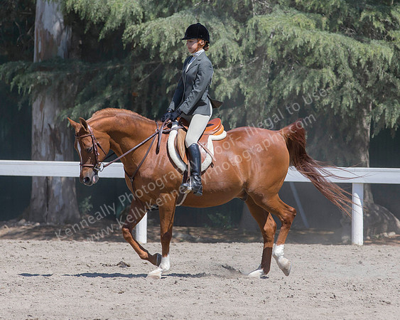 DAHA_SH18_THURS_6947