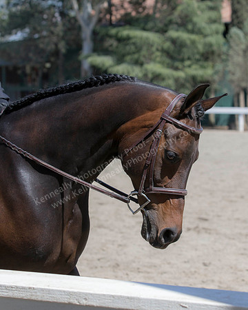 DAHA_SH18_THURS_6931