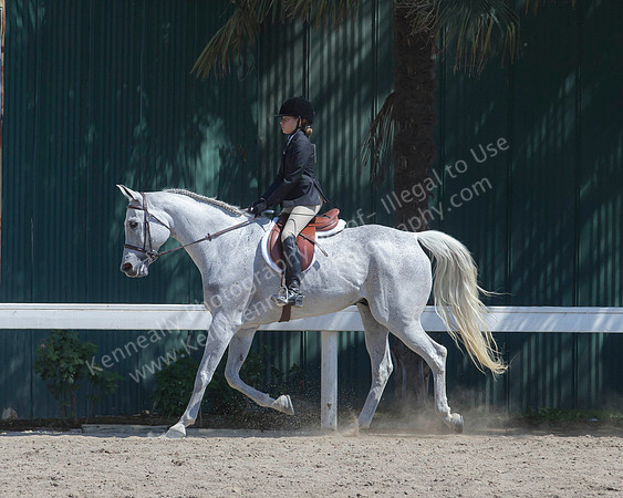 DAHA_SH18_THURS_6992