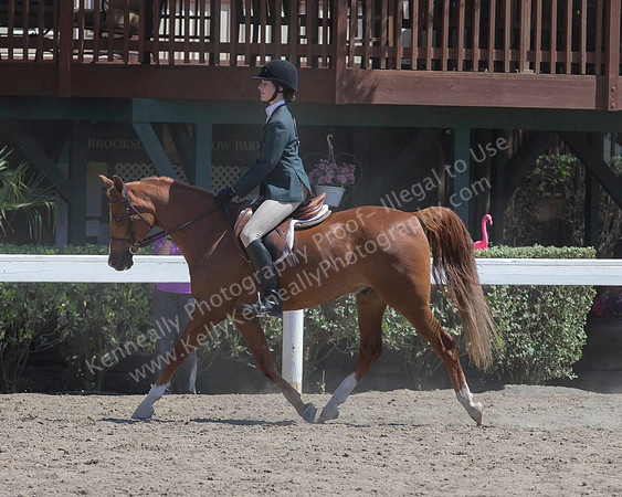DAHA_SH18_THURS_6995