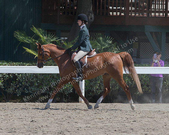 DAHA_SH18_THURS_6996