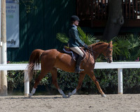 DAHA_SH18_THURS_7002