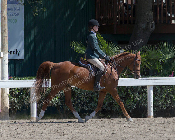 DAHA_SH18_THURS_7002
