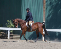 DAHA_SH18_THURS_7059