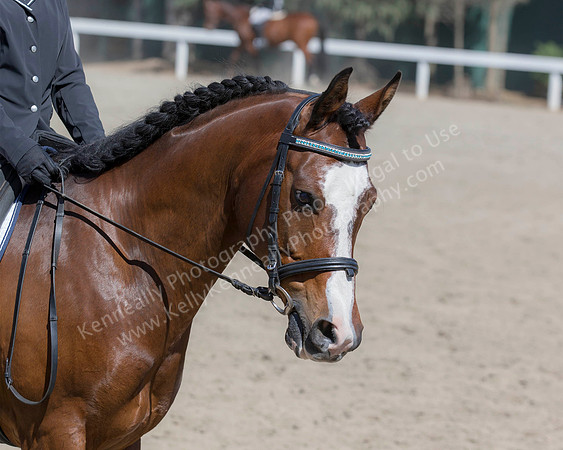 DAHA_SH18_THURS_7113