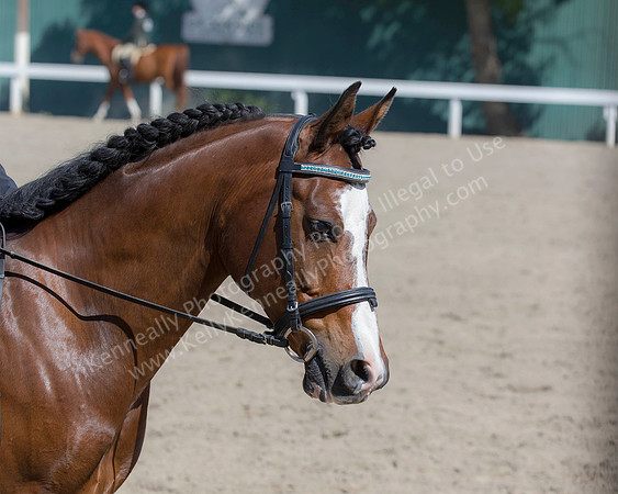 DAHA_SH18_THURS_7114