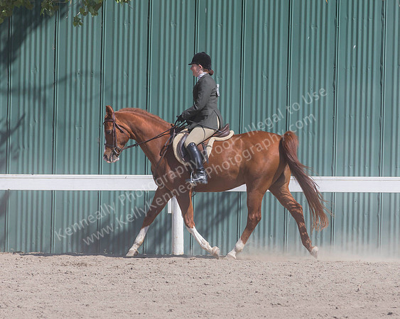 DAHA_SH18_THURS_7128
