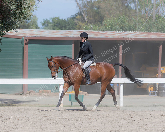 DAHA_SH18_THURS_7133