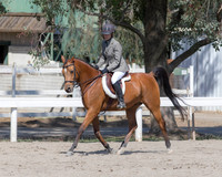 DAHA_SH18_THURS_7145