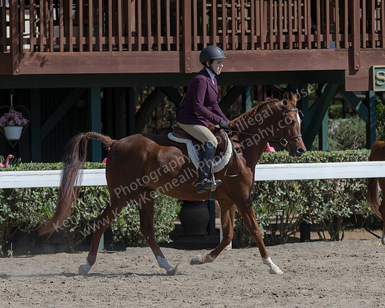 DAHA_SH18_THURS_7184