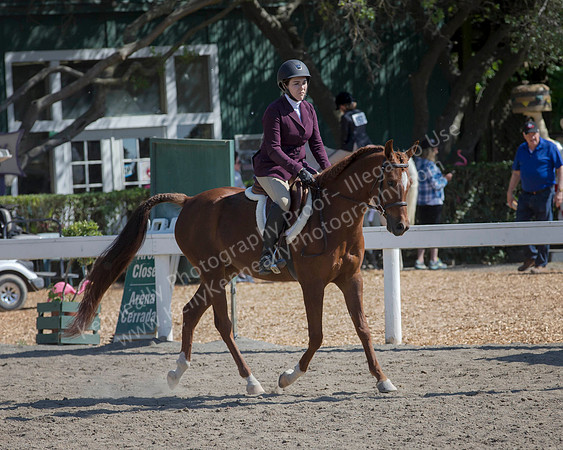DAHA_SH18_THURS_7185