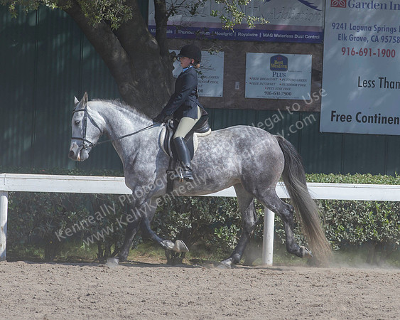 DAHA_SH18_THURS_7205
