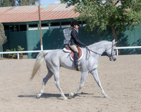 Class 320 HA/AA Sport Horse Under Saddle JTR Championship