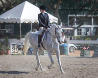 DAHA_SH18_THURS_7226