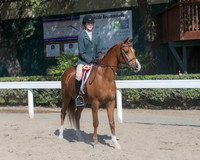 DAHA_SH18_THURS_7232