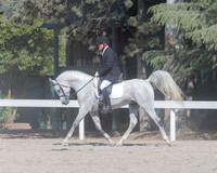 DAHA_SH18_THURS_7243