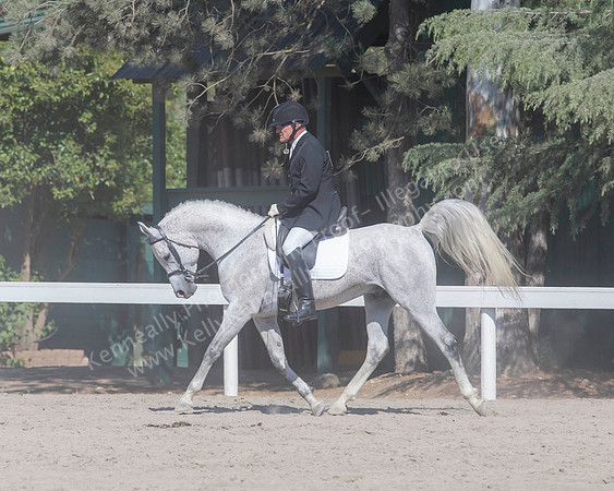 DAHA_SH18_THURS_7243