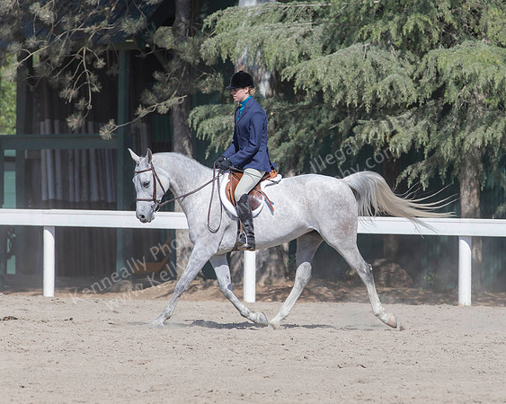 DAHA_SH18_THURS_7247