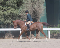 DAHA_SH18_THURS_7251