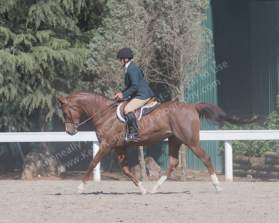 DAHA_SH18_THURS_7251