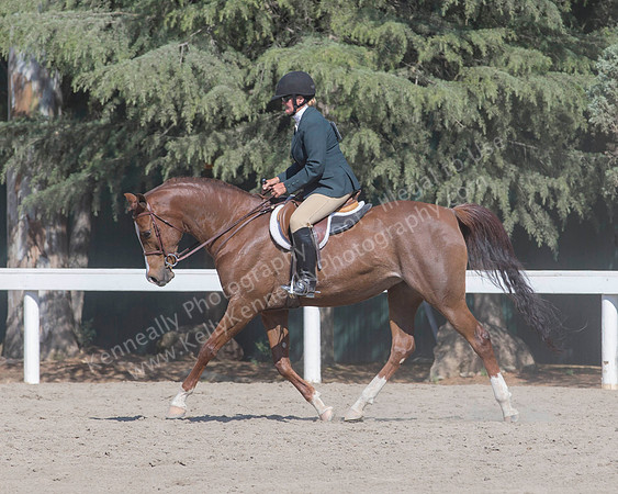 DAHA_SH18_THURS_7252