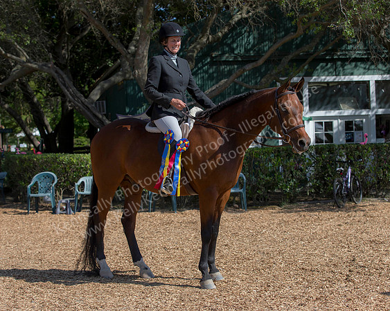 DAHA_SH18_THURS_7283