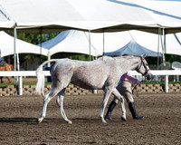 DAHA_SH18_THURS_7288